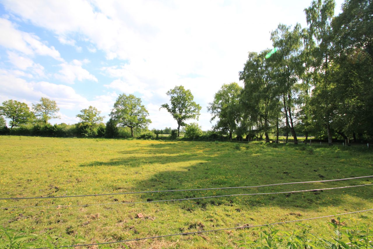 Essen: Traumgrundstück am Wasser 